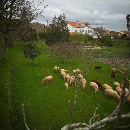 Rustic Terrace2 Bedrooms Mesquitela