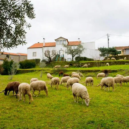 Rustic Terrace2 Bedrooms Hébergement de vacances