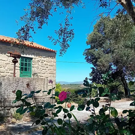Rustic Terrace2 Bedrooms Mesquitela