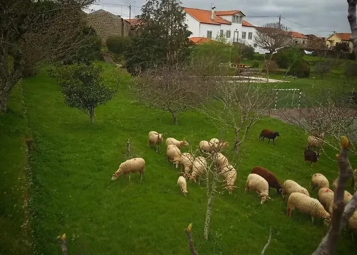 Rustic Terrace2 Bedrooms Mesquitela