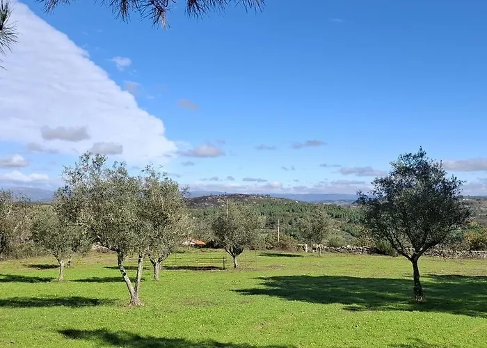 Rustic Terrace2 Bedrooms Hébergement de vacances *