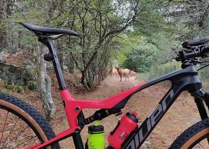 Hébergement de vacances Rustic Terrace2 Bedrooms Mesquitela