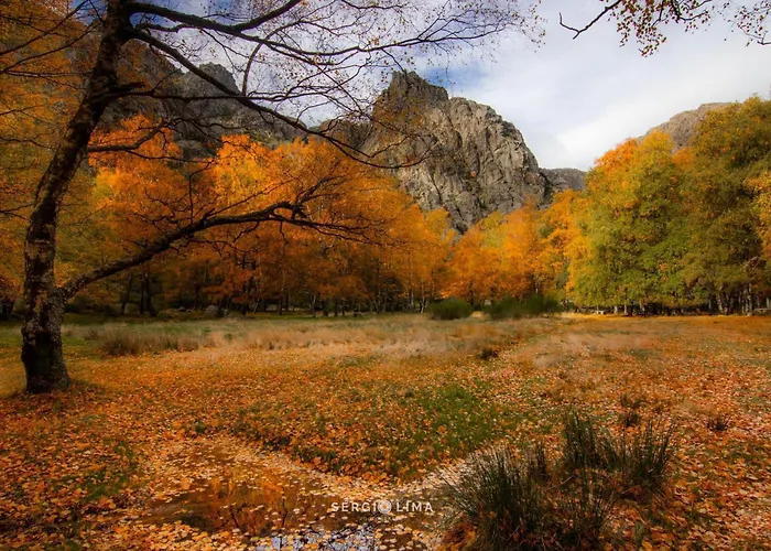 Rustic Terrace2 Bedrooms Hébergement de vacances