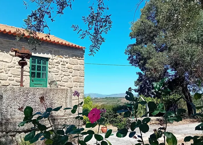 Rustic Terrace2 Bedrooms Mesquitela