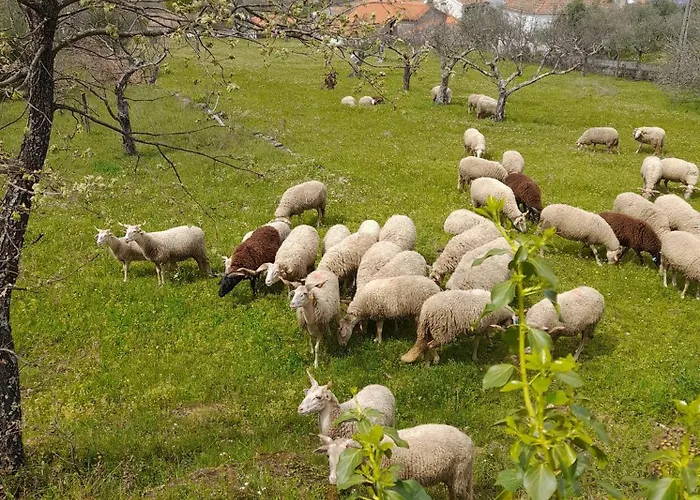 Hébergement de vacances Rustic Terrace2 Bedrooms *