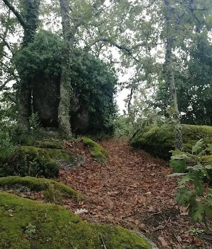 Rustic Terrace2 Bedrooms Hébergement de vacances