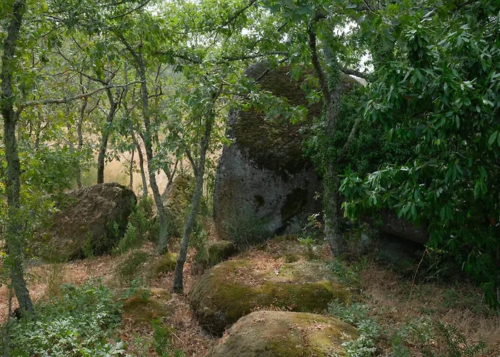 Rustic Terrace2 Bedrooms Hébergement de vacances Mesquitela